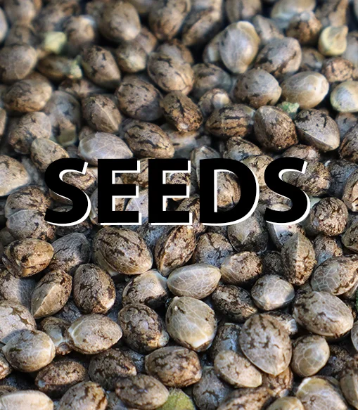 Cannazon seeds collection